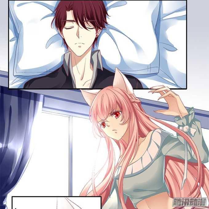 Dụ Hoặc Miêu Yêu Chapter 1 - Trang 2