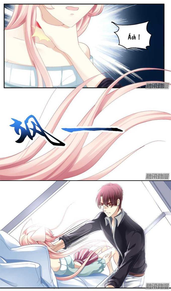 Dụ Hoặc Miêu Yêu Chapter 1 - Trang 2