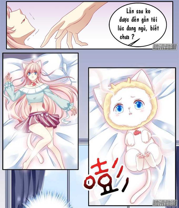 Dụ Hoặc Miêu Yêu Chapter 1 - Trang 2