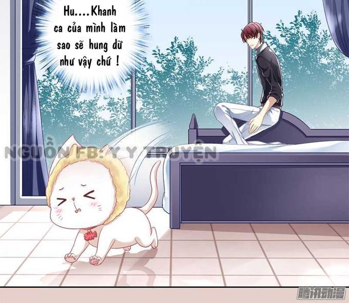 Dụ Hoặc Miêu Yêu Chapter 1 - Trang 2