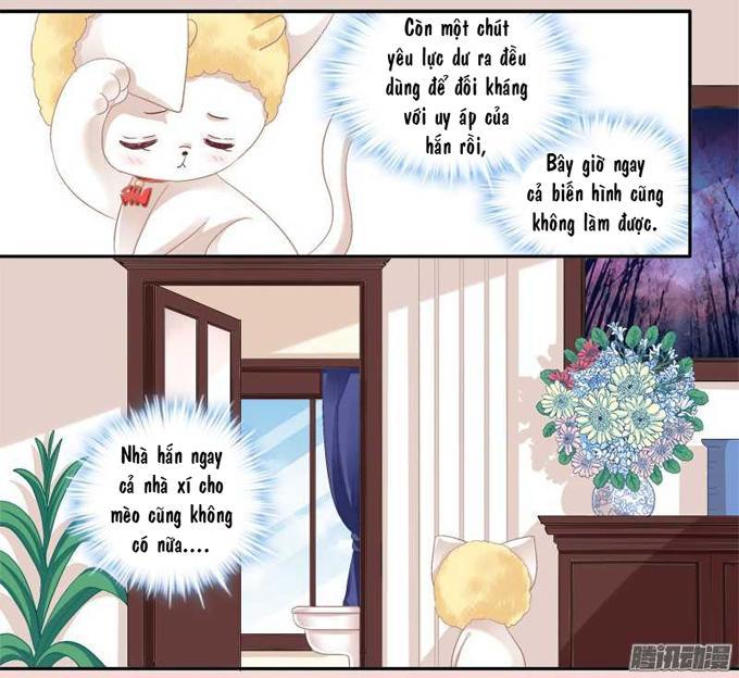 Dụ Hoặc Miêu Yêu Chapter 1 - Trang 2