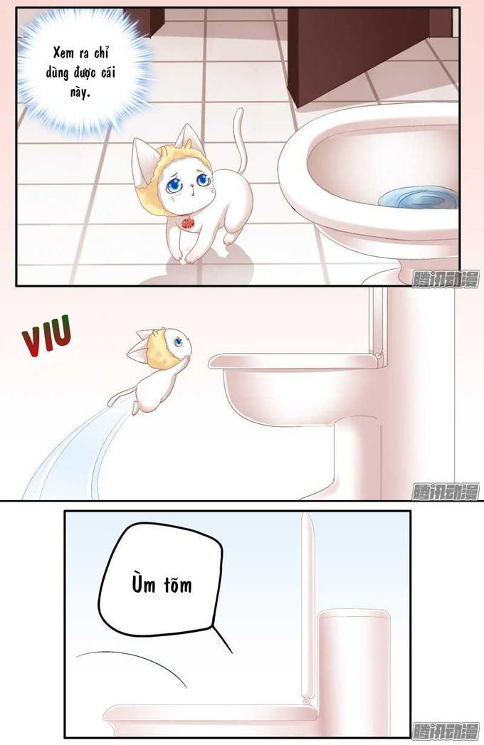 Dụ Hoặc Miêu Yêu Chapter 1 - Trang 2