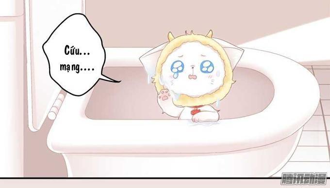 Dụ Hoặc Miêu Yêu Chapter 1 - Trang 2