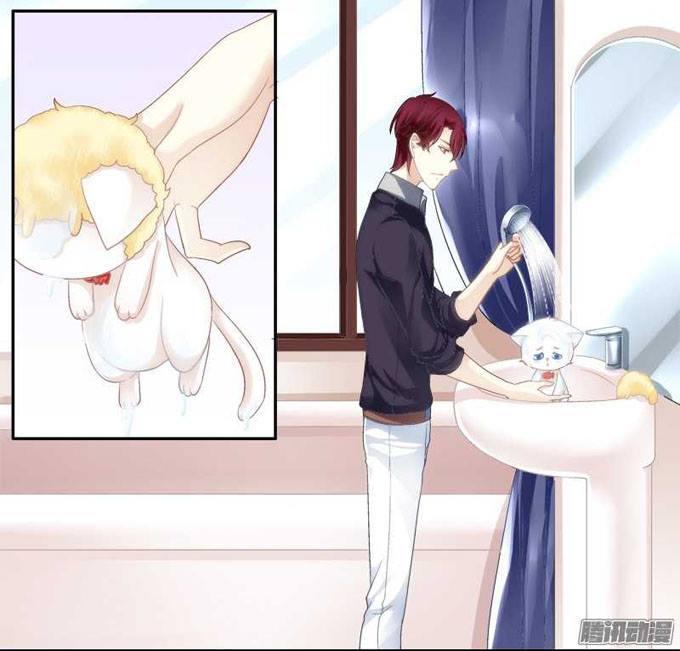 Dụ Hoặc Miêu Yêu Chapter 1 - Trang 2