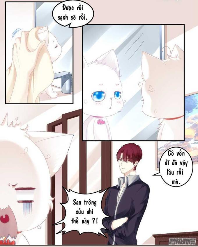 Dụ Hoặc Miêu Yêu Chapter 1 - Trang 2