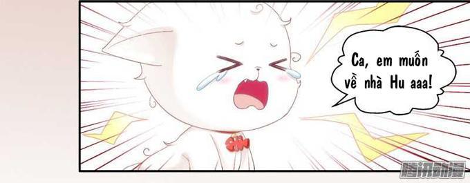 Dụ Hoặc Miêu Yêu Chapter 1 - Trang 2