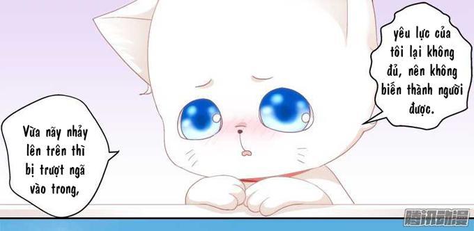 Dụ Hoặc Miêu Yêu Chapter 1 - Trang 2