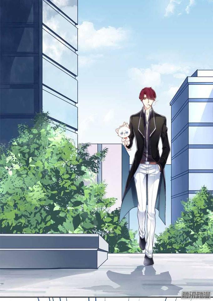 Dụ Hoặc Miêu Yêu Chapter 1 - Trang 2