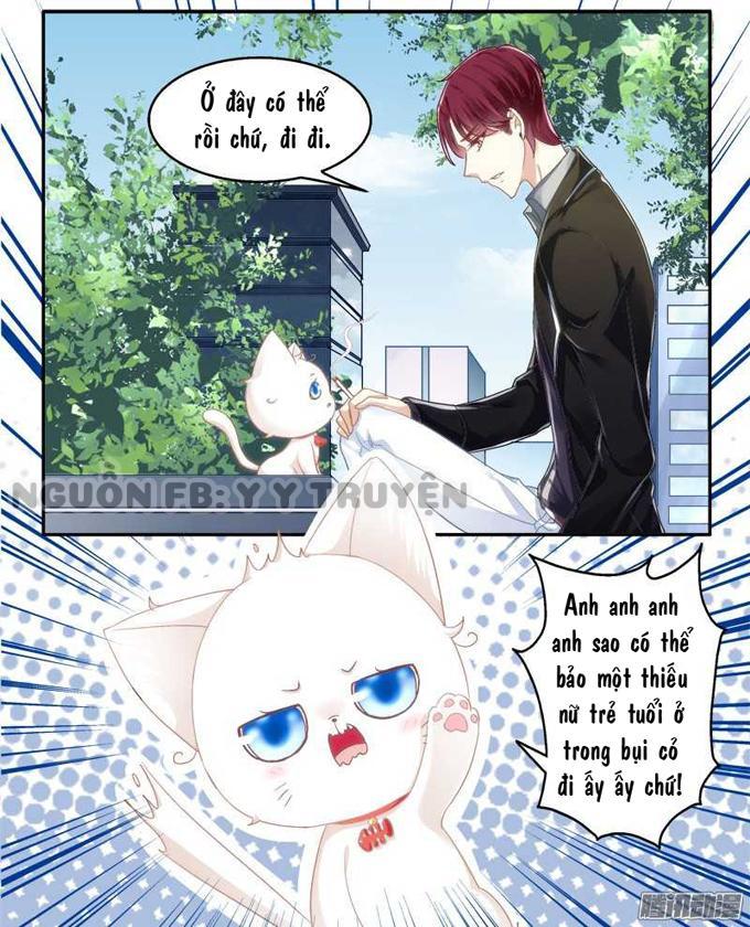 Dụ Hoặc Miêu Yêu Chapter 1 - Trang 2