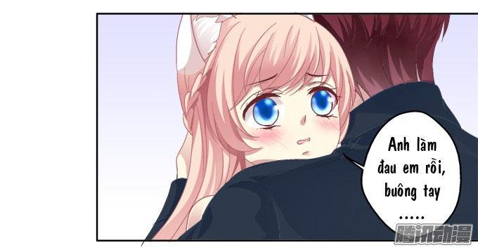 Dụ Hoặc Miêu Yêu Chapter 15 - Trang 2