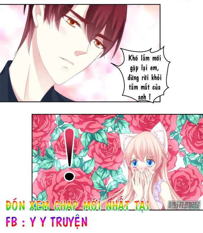 Dụ Hoặc Miêu Yêu Chapter 15 - Trang 2