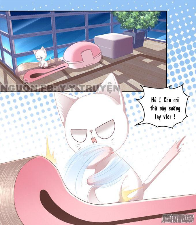 Dụ Hoặc Miêu Yêu Chapter 2 - Trang 2