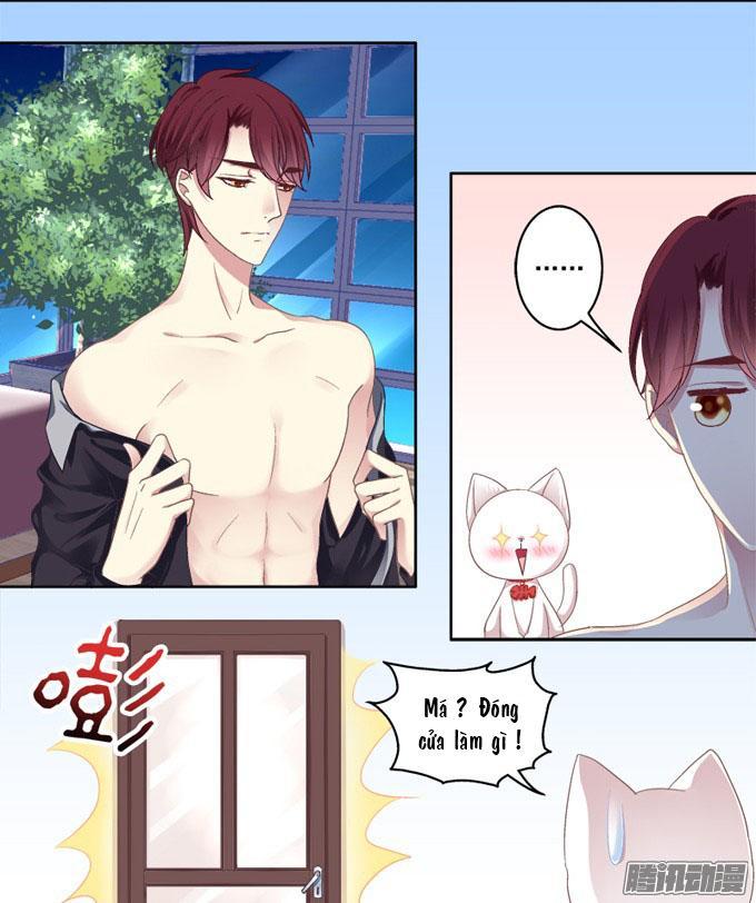 Dụ Hoặc Miêu Yêu Chapter 2 - Trang 2