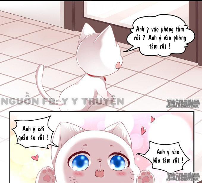 Dụ Hoặc Miêu Yêu Chapter 2 - Trang 2