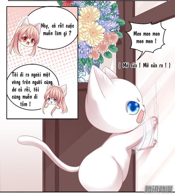 Dụ Hoặc Miêu Yêu Chapter 2 - Trang 2