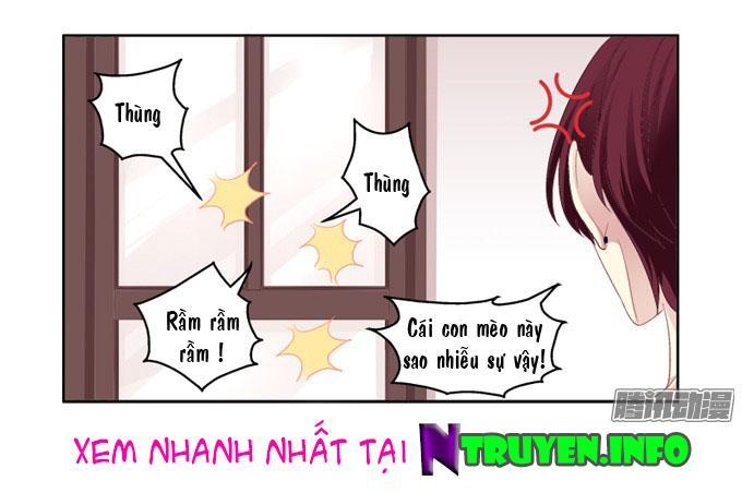 Dụ Hoặc Miêu Yêu Chapter 2 - Trang 2
