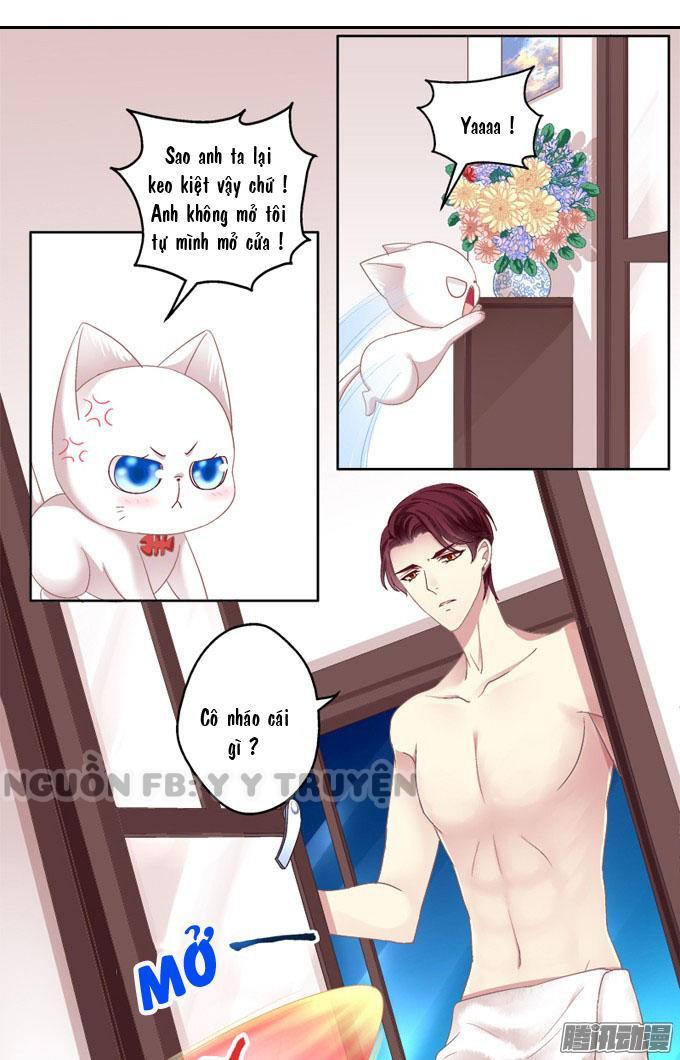 Dụ Hoặc Miêu Yêu Chapter 2 - Trang 2