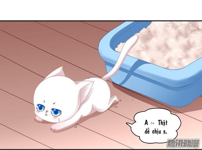 Dụ Hoặc Miêu Yêu Chapter 2 - Trang 2