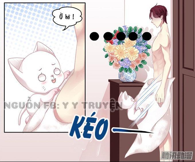 Dụ Hoặc Miêu Yêu Chapter 2 - Trang 2