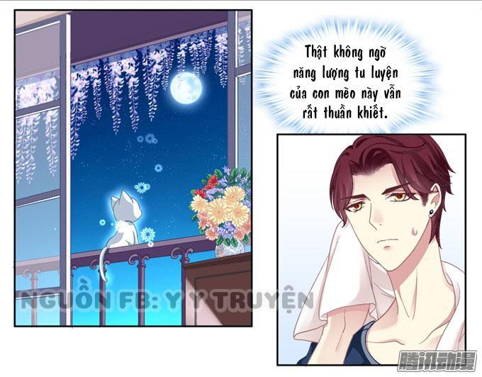 Dụ Hoặc Miêu Yêu Chapter 2 - Trang 2