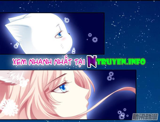 Dụ Hoặc Miêu Yêu Chapter 2 - Trang 2
