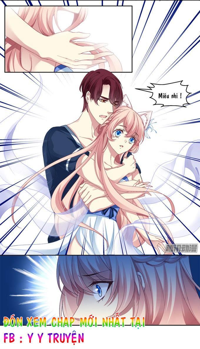 Dụ Hoặc Miêu Yêu Chapter 2 - Trang 2