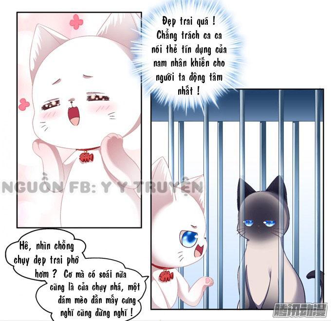 Dụ Hoặc Miêu Yêu Chapter 2 - Trang 2