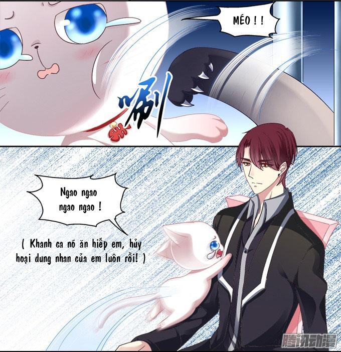 Dụ Hoặc Miêu Yêu Chapter 2 - Trang 2