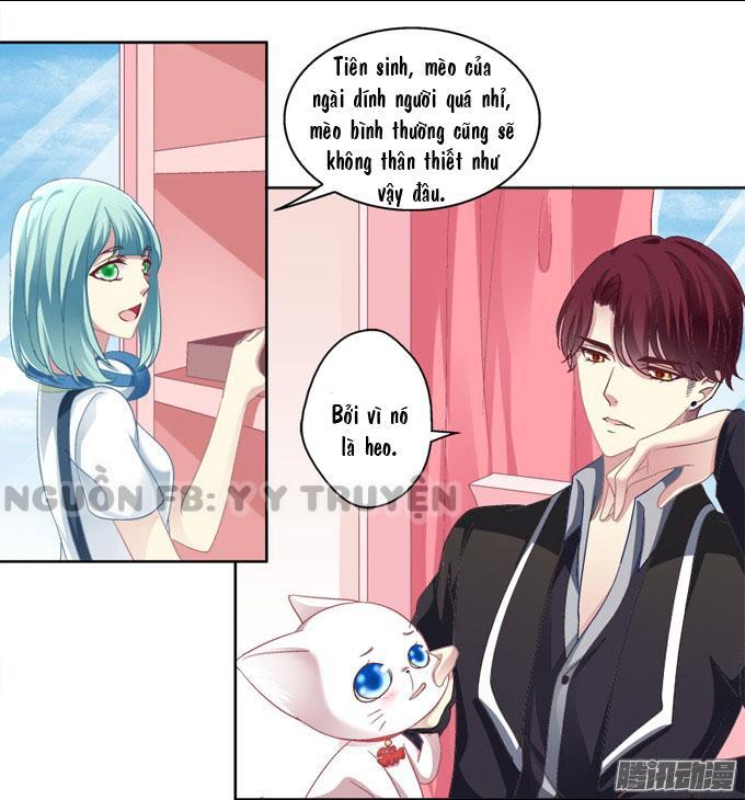 Dụ Hoặc Miêu Yêu Chapter 2 - Trang 2