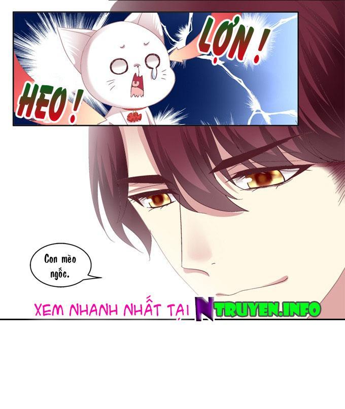 Dụ Hoặc Miêu Yêu Chapter 2 - Trang 2