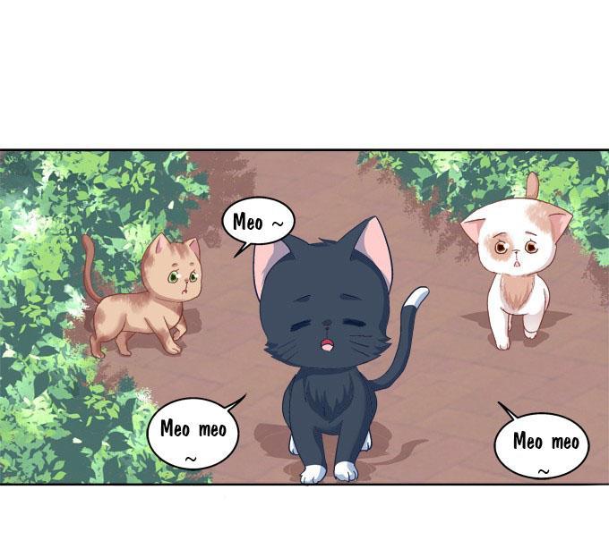 Dụ Hoặc Miêu Yêu Chapter 21 - Trang 2