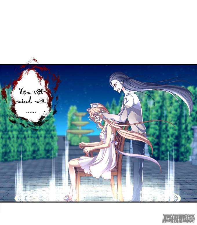 Dụ Hoặc Miêu Yêu Chapter 28 - Trang 2