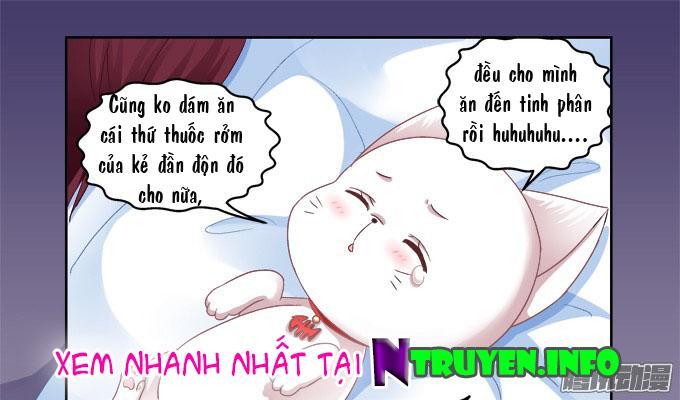 Dụ Hoặc Miêu Yêu Chapter 4 - Trang 2