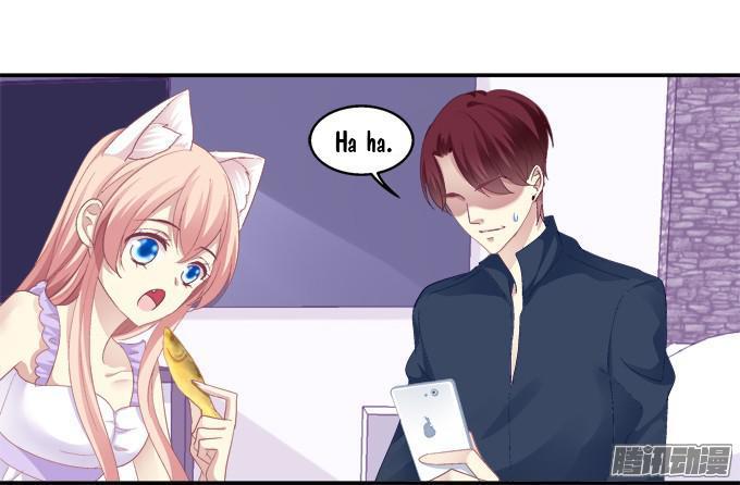 Dụ Hoặc Miêu Yêu Chapter 41 - Trang 2