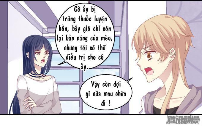 Dụ Hoặc Miêu Yêu Chapter 42 - Trang 2