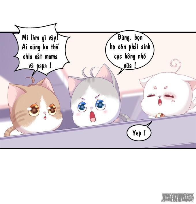 Dụ Hoặc Miêu Yêu Chapter 42 - Trang 2