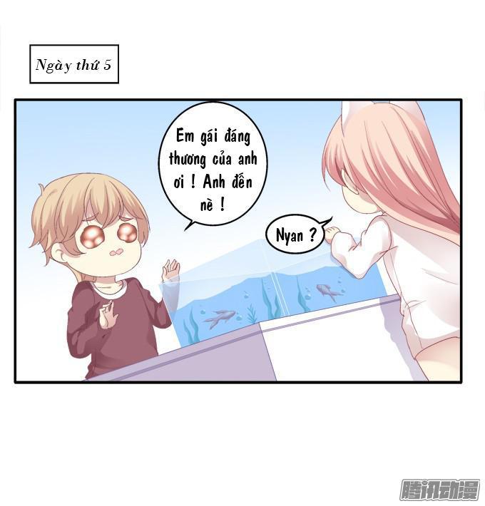 Dụ Hoặc Miêu Yêu Chapter 43 - Trang 2