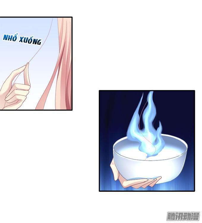 Dụ Hoặc Miêu Yêu Chapter 43 - Trang 2