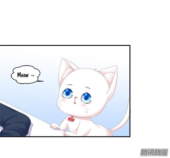 Dụ Hoặc Miêu Yêu Chapter 43 - Trang 2