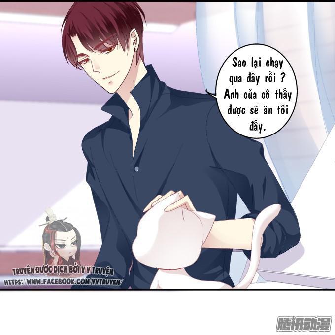 Dụ Hoặc Miêu Yêu Chapter 43 - Trang 2