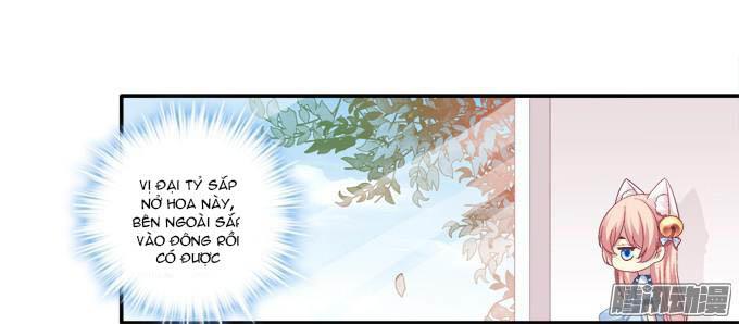 Dụ Hoặc Miêu Yêu Chapter 45 - Trang 2