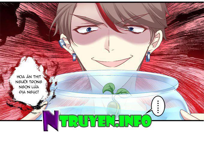 Dụ Hoặc Miêu Yêu Chapter 47 - Trang 2