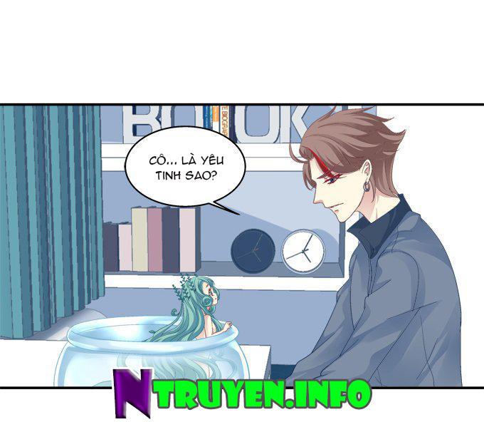 Dụ Hoặc Miêu Yêu Chapter 48 - Trang 2