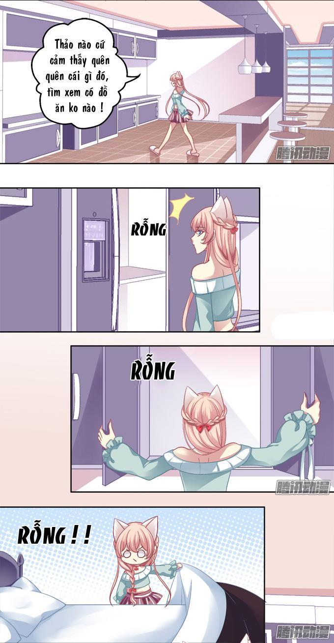 Dụ Hoặc Miêu Yêu Chapter 5 - Trang 2