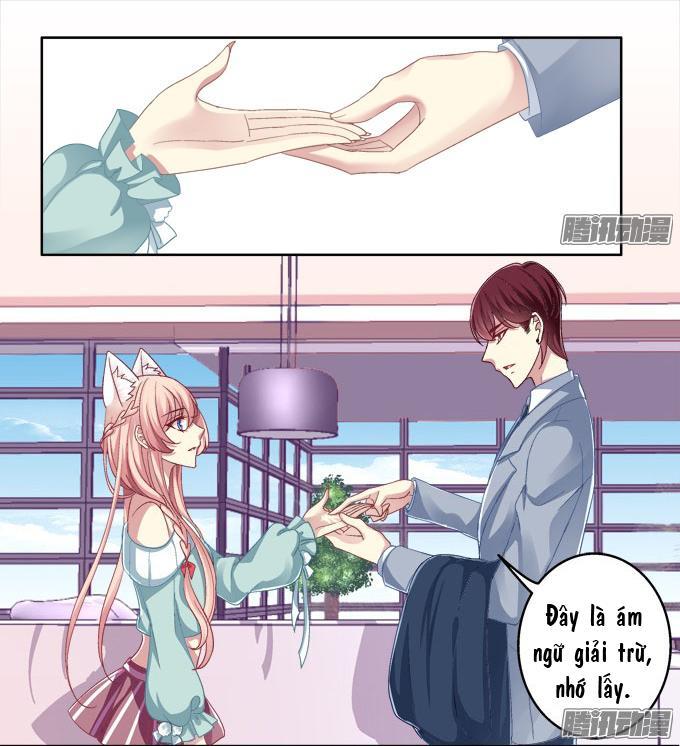 Dụ Hoặc Miêu Yêu Chapter 5 - Trang 2