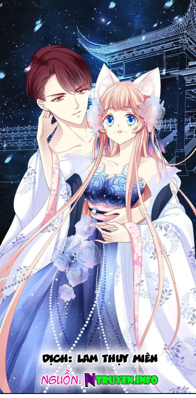 Dụ Hoặc Miêu Yêu Chapter 51 - Trang 2