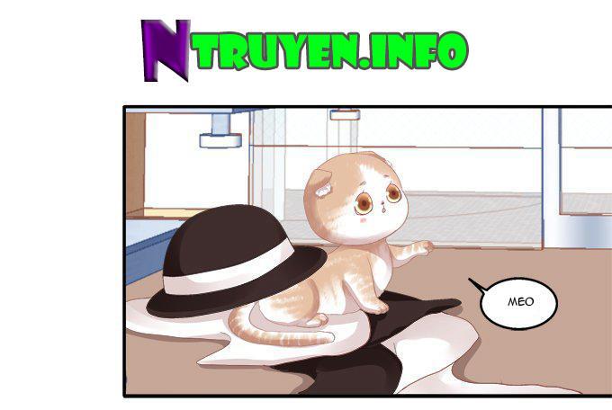 Dụ Hoặc Miêu Yêu Chapter 52 - Trang 2