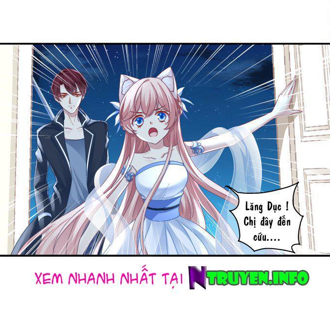 Dụ Hoặc Miêu Yêu Chapter 56 - Trang 2