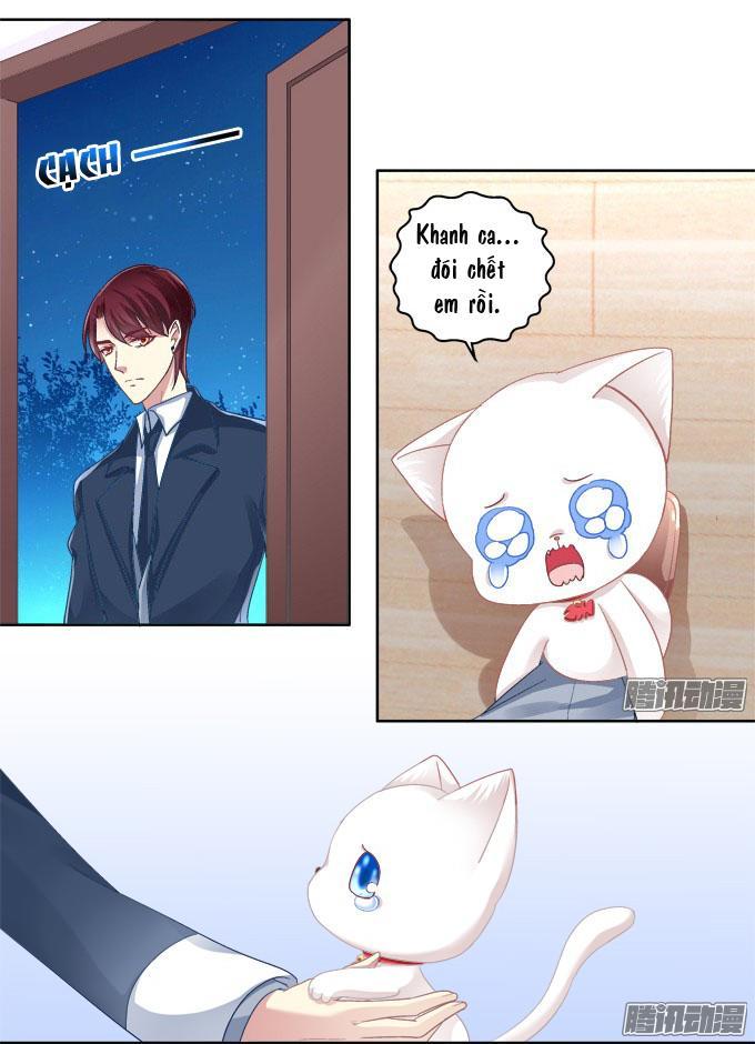 Dụ Hoặc Miêu Yêu Chapter 6 - Trang 2