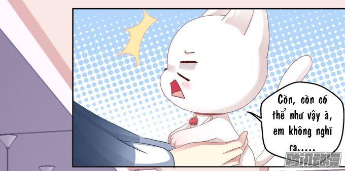 Dụ Hoặc Miêu Yêu Chapter 6 - Trang 2